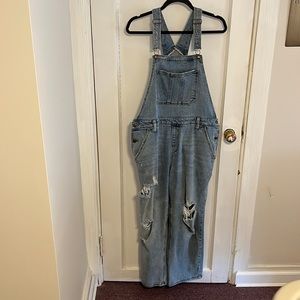 Wild Fable Distressed Overalls